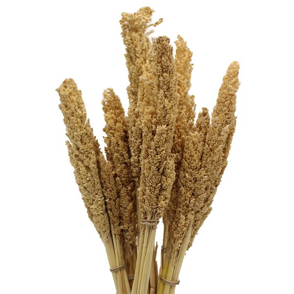 Bouquet d'Herbes Séchées Naturelles