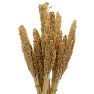 Bouquet d'Herbes Séchées Naturelles