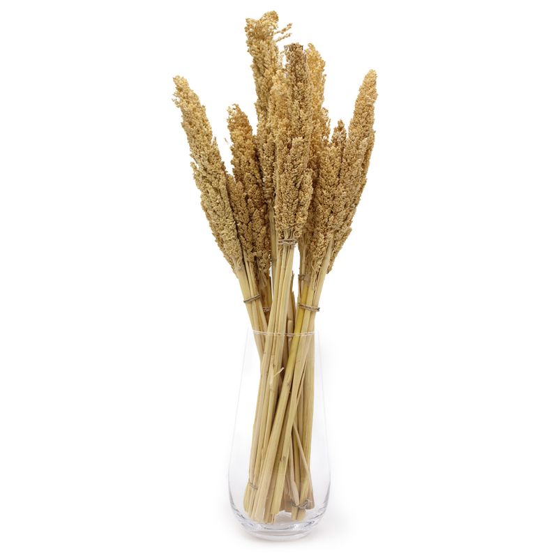 Bouquet d'Herbes Séchées Naturelles