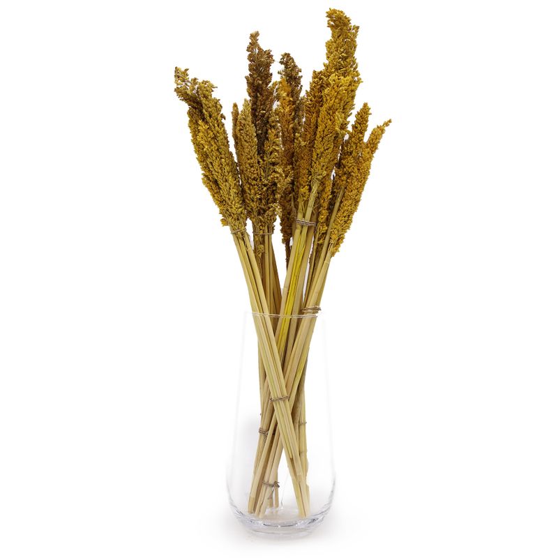 Bouquet d'Herbes Séchées - Cantal - Ambre