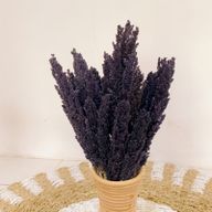 Bouquet d'Herbes Séchées - Cantal - Noir