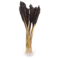 Bouquet d'Herbes Séchées - Cantal - Noir