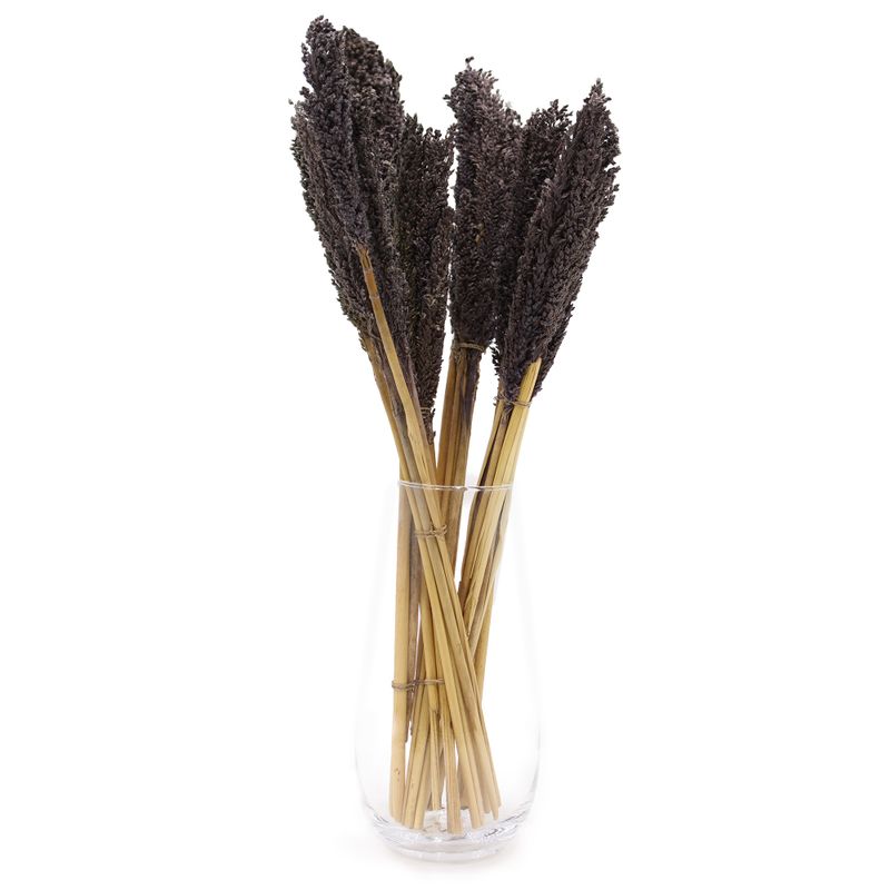 Bouquet d'Herbes Séchées - Cantal - Noir