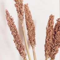 Bouquet d'Herbes Séchées - Rouille