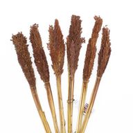 Bouquet d'Herbes Séchées - Cantal - Chocolat