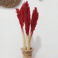 Bouquet d'Herbes Séchées - Cantal - Rouge Feu