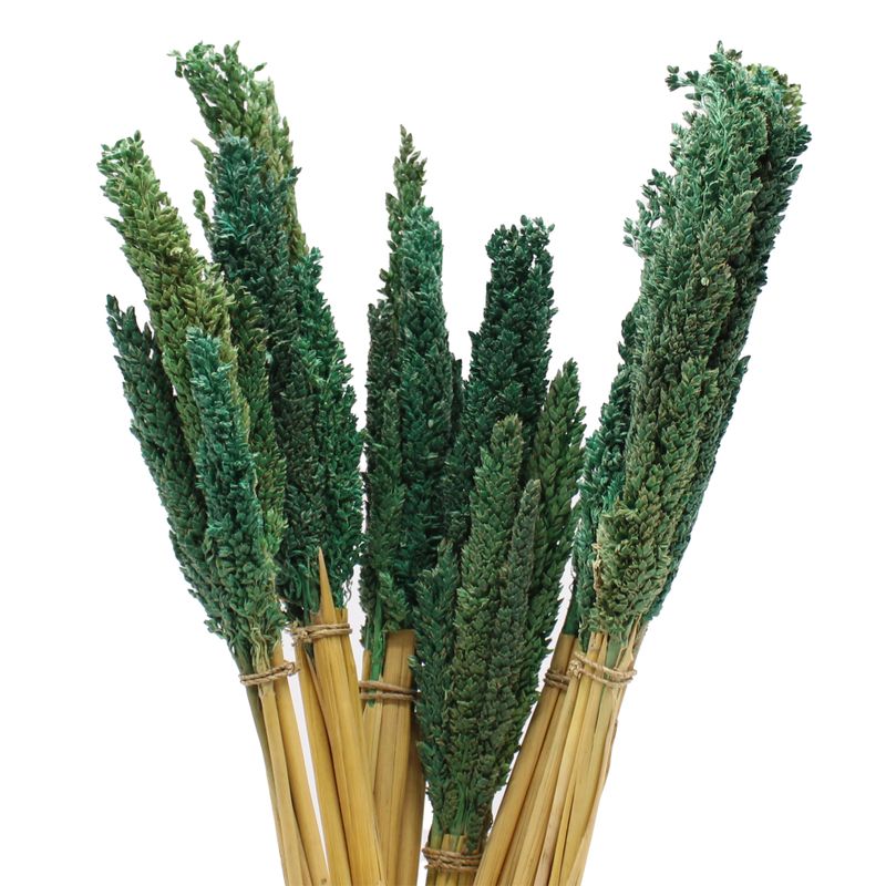Bouquet d'Herbes Séchées du Cantal - Sarcelle