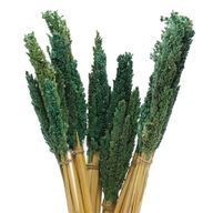 Bouquet d'Herbes Séchées du Cantal - Sarcelle