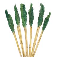 Bouquet d'Herbes Séchées du Cantal - Sarcelle