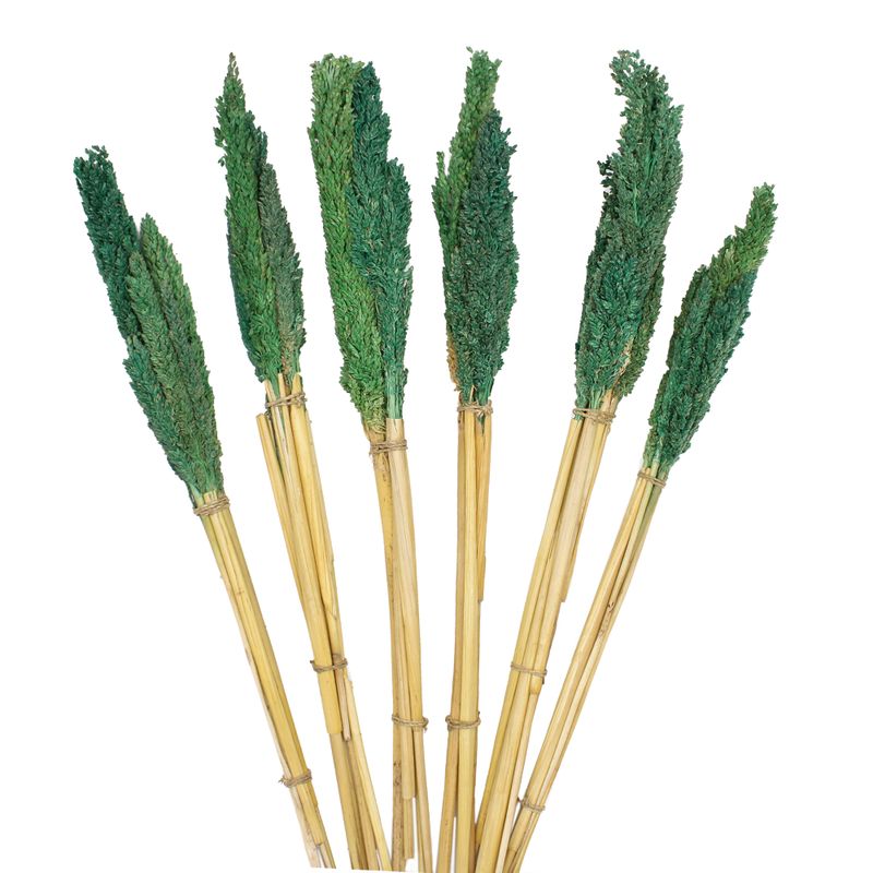 Bouquet d'Herbes Séchées du Cantal - Sarcelle