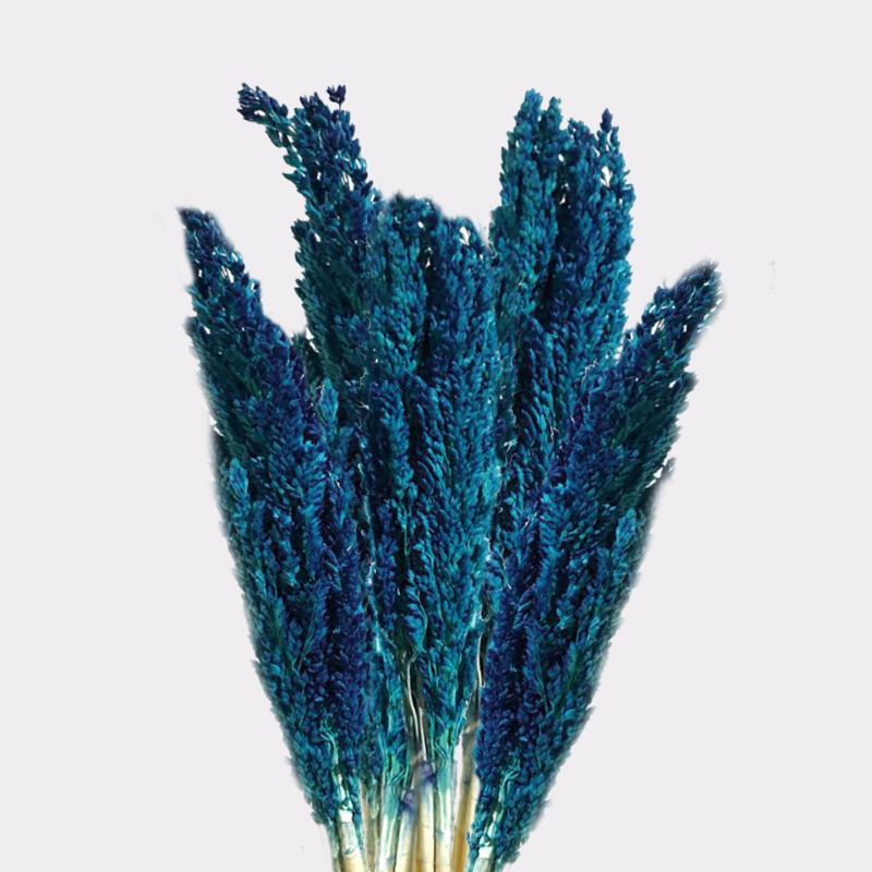 Bouquet d'Herbes Séchées du Cantal - Bleu