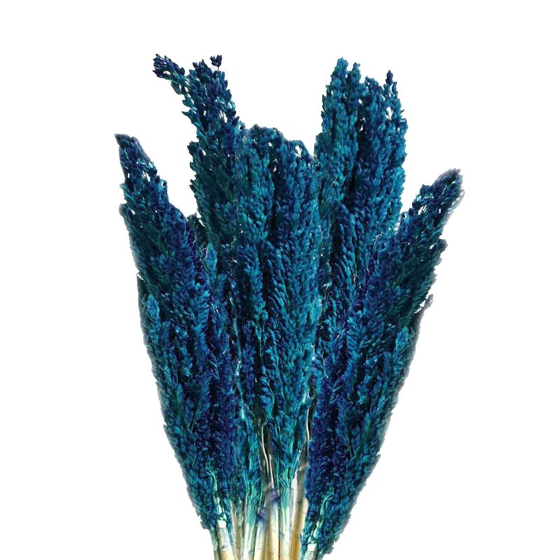 Bouquet d'Herbes Séchées du Cantal - Bleu