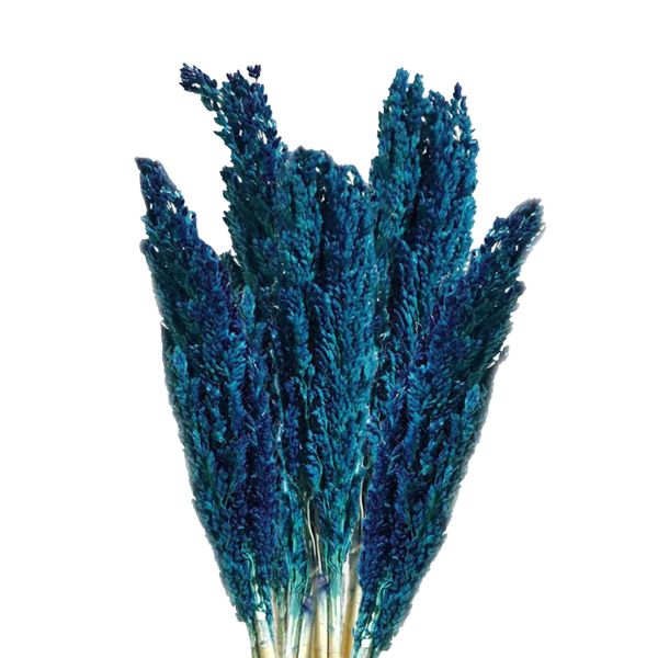 Bouquet d'Herbes Séchées du Cantal - Bleu