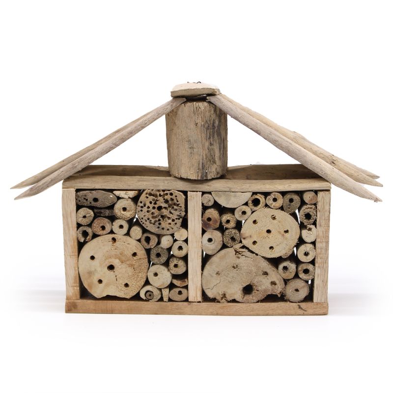 Boîte à abeilles et insectes en bois flotté