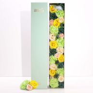 Boîte Extra Longue - Célébrations du Printemps - Jaune & Vert