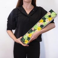Boîte Extra Longue - Célébrations du Printemps - Jaune & Vert