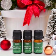 Coffret d'Huiles Parfumées Senteurs de Noël