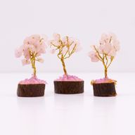 Mini Arbre en Pierres Précieuses sur Socle en Bois - Quartz Rose (15 pierres)