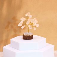 Mini Arbre en Pierres Précieuses sur Socle en Bois - Quartz de Roche (15 pierres)