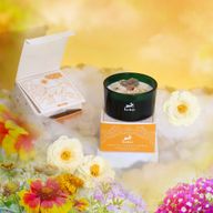 Bougie Magique en Cristal avec Fleurs et Gemmes de Hop Hare - Le Lion