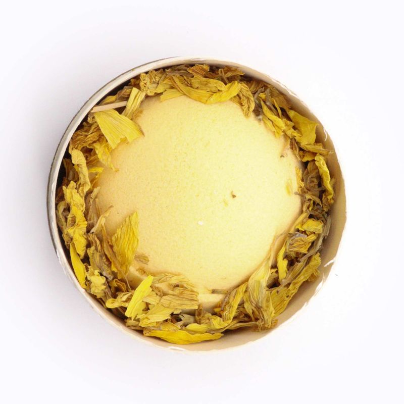 Tournesol Sérénité