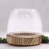 Petit Terarium sur Bois de Tung Naturel - 13x13cm