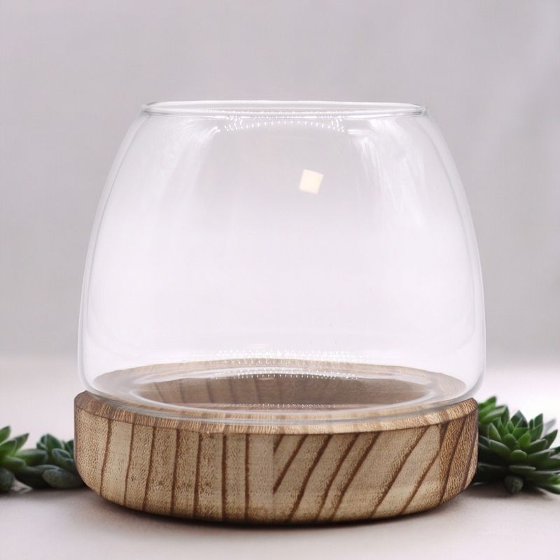 Petit Terarium sur Bois de Tung Naturel - 13x13cm
