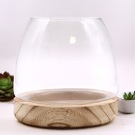 Terarium Moyen sur Bois de Tung Naturel - 15x15cm
