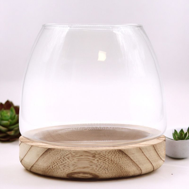 Terarium Moyen sur Bois de Tung Naturel - 15x15cm