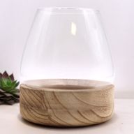 Grand Terarium sur Bois de Tung Naturel - 17x19cm