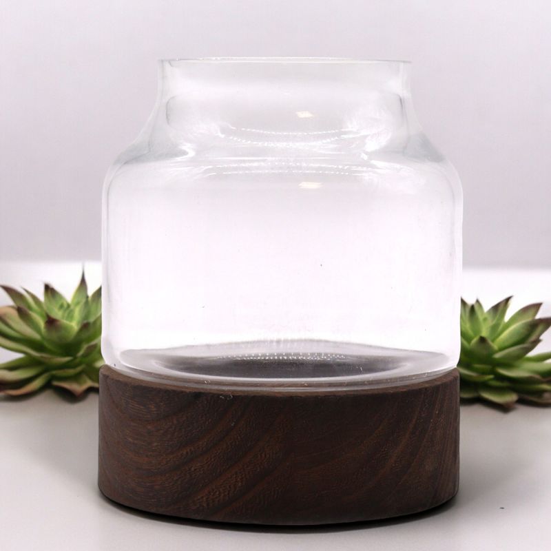 Terarium de Petite Taille sur Bois de Tung Foncé - 12x13cm