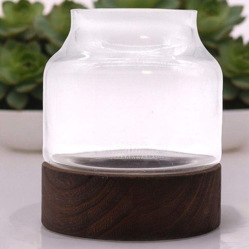 Terrarium Moyen sur Bois de Tung Foncé - 16x18cm