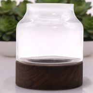 Terrarium Moyen sur Bois de Tung Foncé - 16x18cm
