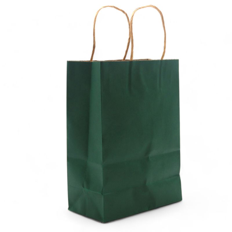 Sac Cadeau en Papier avec Poignée en Corde Large (26x32x12cm) - Vert (130g)