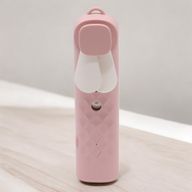 Ventilateur et Vaporisateur de Visage Nano Mist Rose - Rechargeable par USB