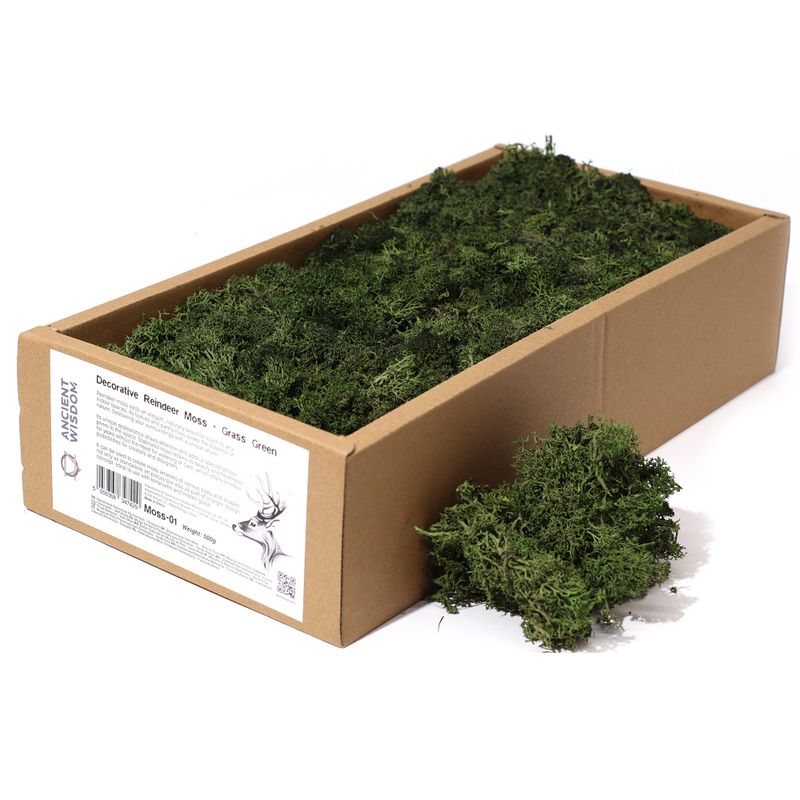Mousse de Renne de Décoration de Qualité - Vert Herbe - Boîte de 635 g