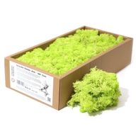 Mousse de Renne de Décoration de Qualité - Vert Menthe - Boîte 635g