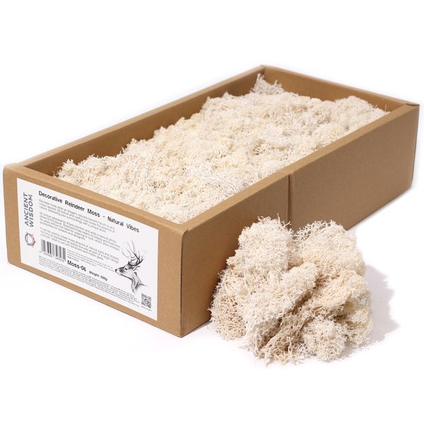 Mousse de Renne de Décoration de Qualité - Vibes Naturelles - Boîte de 635g