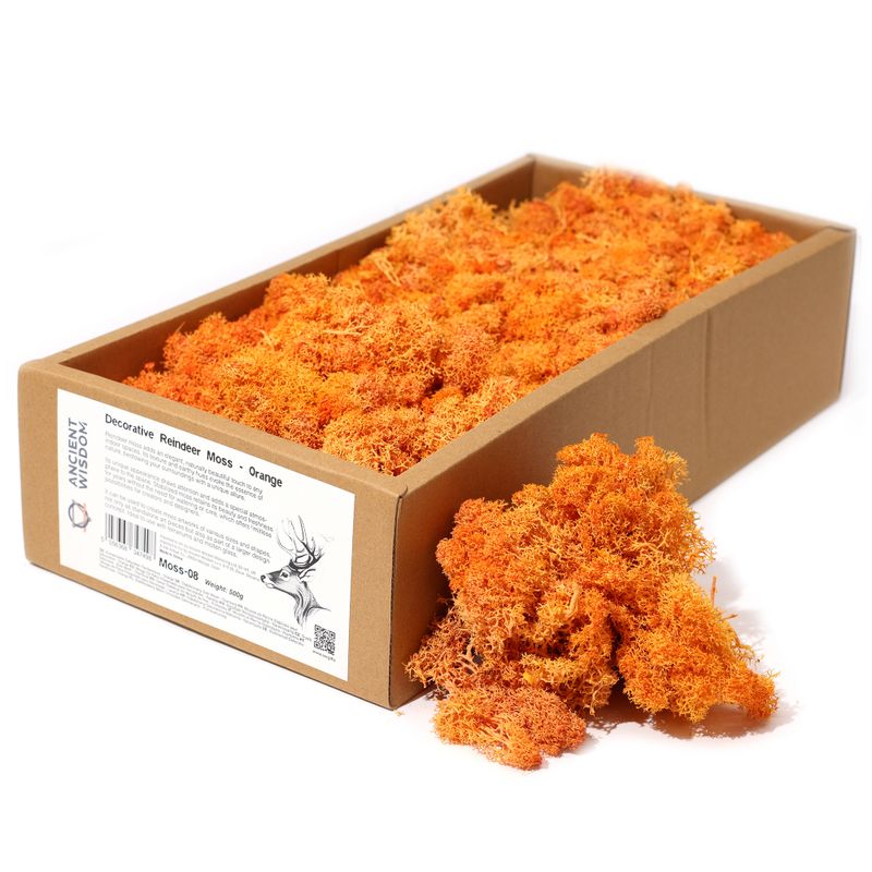 Mousse de Renne de Décoration de Qualité - Orange - Boîte de 635g