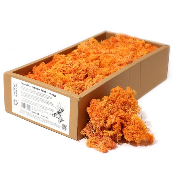 Mousse de Renne de Décoration de Qualité - Orange - Boîte de 635g