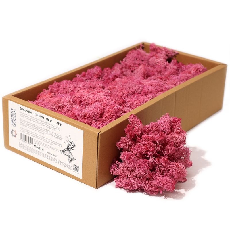 Mousse de Renne de Décoration de Qualité - Rose - Boîte de 635g
