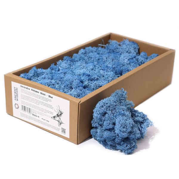 Mousse de Renne de Décoration de Qualité - Bleu - Boîte de 635g