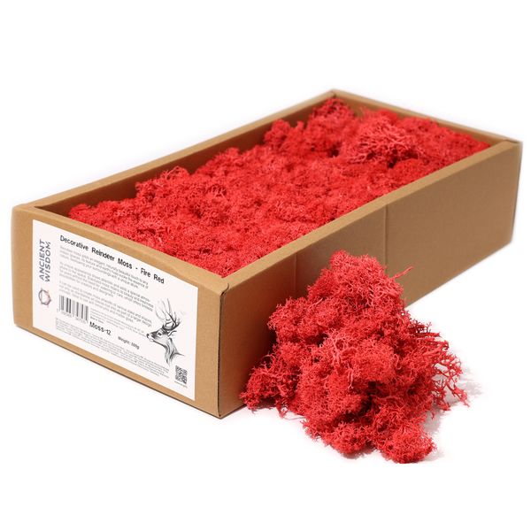 Mousse de Renne de Décoration de Qualité - Rouge Feu - Boîte 635g