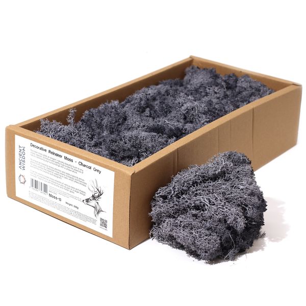Mousse de Renne de Décoration de Qualité - Gris Charcol - Boîte 635g
