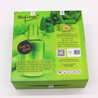 Cônes d'Encens à Reflux Biofresh (40 cônes) - Frank & Myrrhe