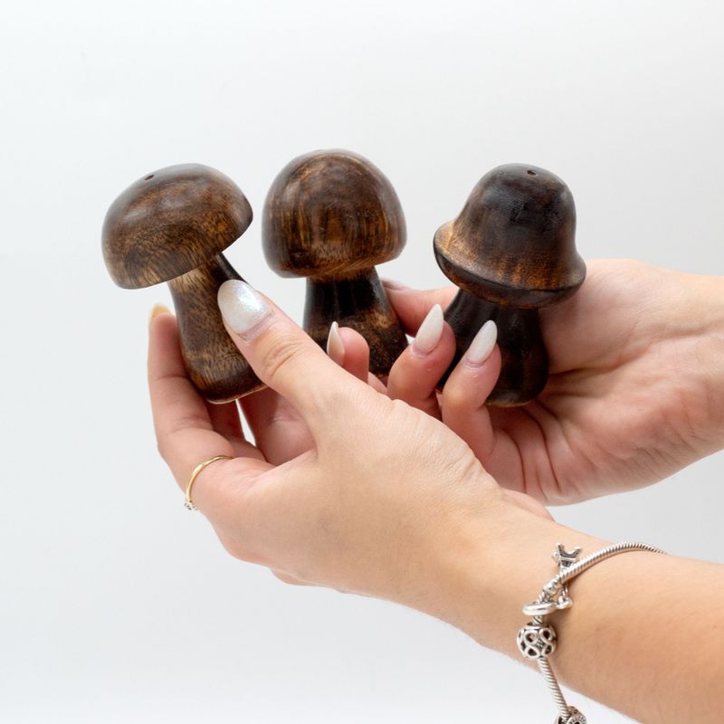 Lot de 3 Mini Champignons Porte-Encens (8cm 7cm 6,5cm)