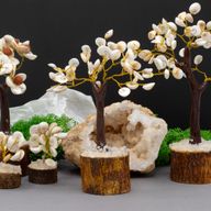 Arbres en Pierres Rondes Chakra Gomati Moyen - (45 pierres)