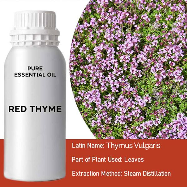 Huile Essentielle - Thym Rouge 0.5kg