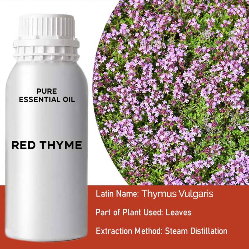 Huile Essentielle - Thym Rouge 0.5kg