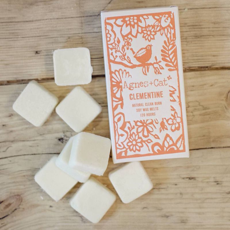 Boîte de 8 Fondants de Cire - Clémentine